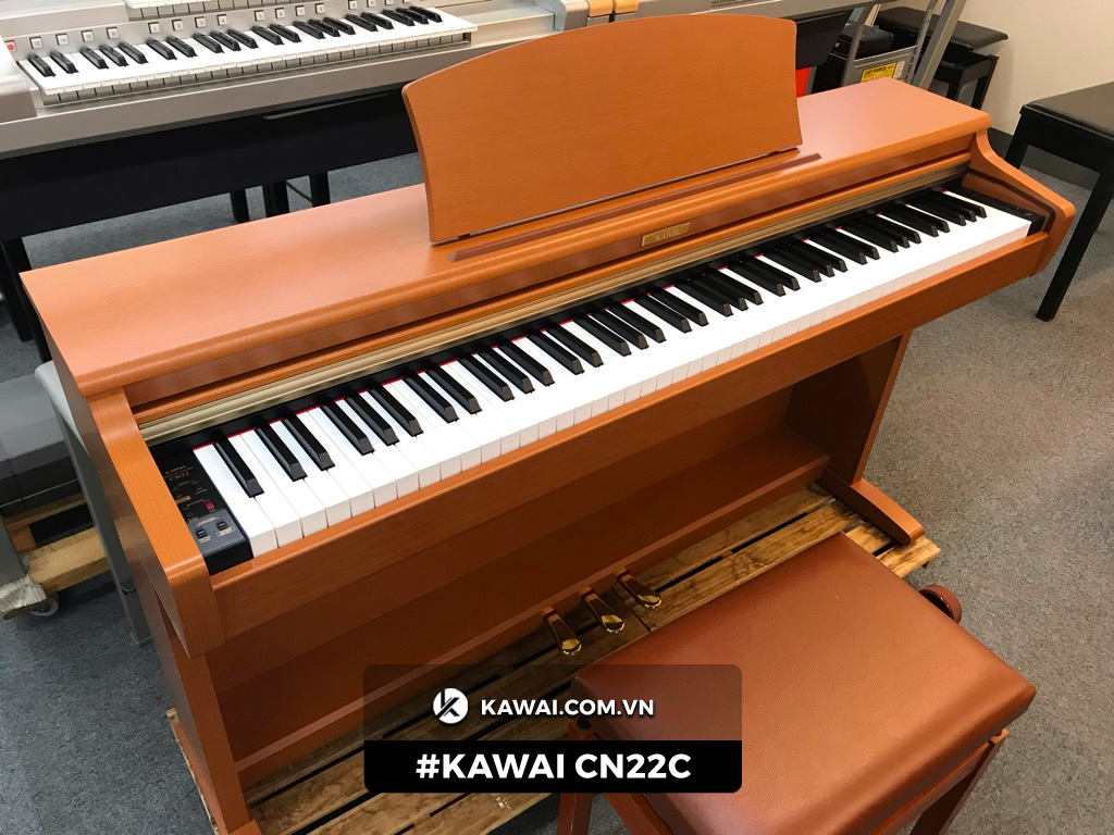 kawai cN22c-1